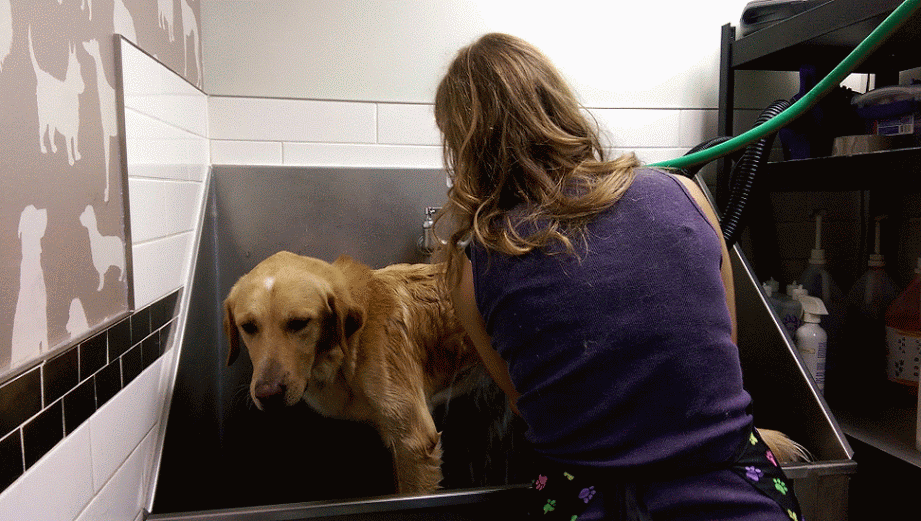 5 Common Grooming Mistakes